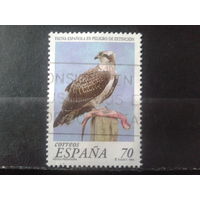 Испания 1999 Хищная птица