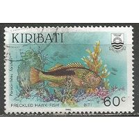 Кирибати. Рыбы. Кудрепер Форстера. 1990г. Mi#554.