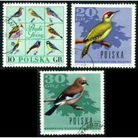 Лесные птицы Польша 1966 год 3 марки