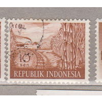 Железная дорога Поезда  флора Индонезия 1960 год год  лот  1084