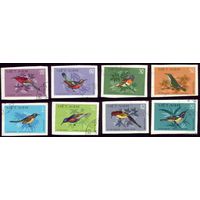 8 марок 1981 год Вьетнам Птицы Беззубцовки