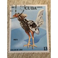 Куба 1981. Домашняя птица. Петух породы Pinto. Марка из серии