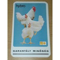 Календарик 1985 - 1986 Венгрия. Реклама. Куры. Цыплята бройлеры