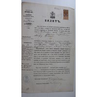 Билет ( паспорт ) 1878 г.
