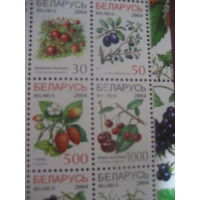 Частично не пропечатан черный цвет в верху левого столбца Беларусь 2004 лесные и садовые ягоды