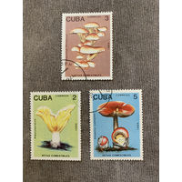 Куба 1989. Грибы. Марки из серии