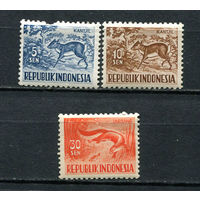 Индонезия - 1956/1958 - Фауна - 3 марки. MNH, MLH.  (Лот 27EC)-T5P3