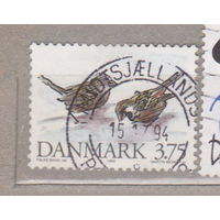 Птицы Фауна Дания 1994 год лот 1072