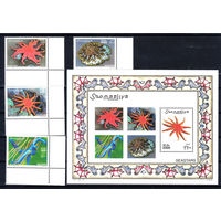 Фауна. Морские звезды. Сомали. 2001. 4 марки и 1 блок. Полная серия. Michel N 896-899. бл80 (25,0 е)