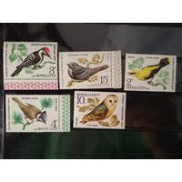 Птицы - защитники леса 1979 г