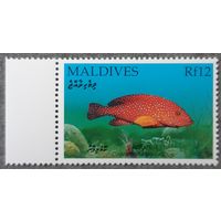 1992 - Рыба - Мальдивы