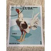 Куба 1981. Домашняя птица. Петух породы Canelo. Марка из серии