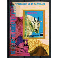 Экваториальная Гвинея - 1977г. - Североамериканские животные - полная серия, MNH [Mi bl. 272] - 1 блок
