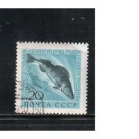 СССР-1960, (Заг.2384), гаш.(с клеем), Морская фауна