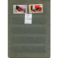 РУМЫНИЯ, 1981  2м птицы  ( на скане справочно приведены номера и цены (в ЕВРО) по МИХЕЛЮ