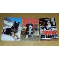 Календарики 1987 Испания. Собаки, щенки. 3 шт. одним лотом