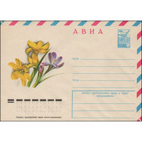 Художественный маркированный конверт СССР N 12508 (07.12.1977) АВИА  [Крокусы]