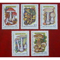 СССР. Ядовитые грибы. ( 5 марок ) 1986 года. 7-4.