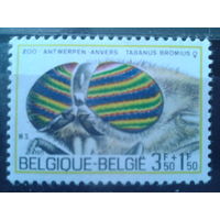 Бельгия 1971 Насекомое**