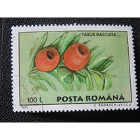 Румыния 1995 г. Цветы.
