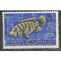 Британский Гондурас. Рыбы. Телапия. 1969г. Mi#231.