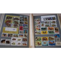 Коллекция марок  - альбом с марками по теме фауна разных стран - Азия Европа Африка Америка - альбом СССР на 28 страниц