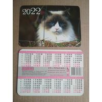 Карманный календарик . Котик. 2022 год