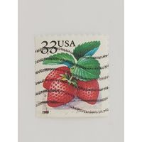 США ягоды 1999