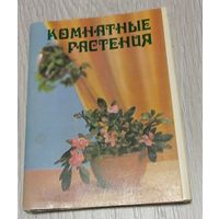 Комнатные растения. Набор открыток 1983 года. Полный комплект из 25 шт.