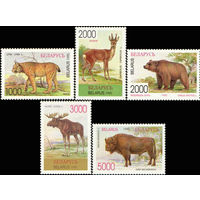 Фауна Беларусь 1996 год (125-129) серия из 5 марок