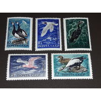 СССР 1972 Фауна. Водоплавающие птицы. Полная серия 5 чистых марок