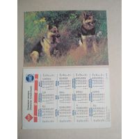 Карманный календарик. Собаки . 1995 год