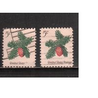 США-1964, (Мих.872 х+у) , гаш. , Рождество, Флора,2 типа бумаги