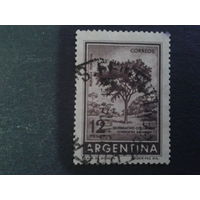Аргентина 1962 дерево