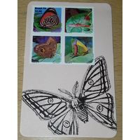 Календарик 1980 Бразилия. Национальная выставка. Бабочки на почтовых марках