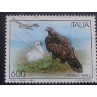 Италия 1995 птицы