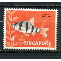 Сингапур - 1962/1967 - Рыбка 4C - [Mi.55] - 1 марка. MNH.  (Лот 73EZ)-T25P7