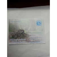Почтовая карточка Беларусь 2009