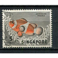 Сингапур - 1962/1967 - Рыбка 5C - [Mi.56X] - 1 марка. Гашеная.  (Лот 74EZ)-T25P7