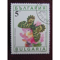 Болгария 1990 г. Бабочки.