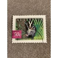 Австралия 2003. Stripped possum. Марка из серии