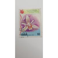 Куба 1998. 30-летие Национального ботанического сада - Орхидеи