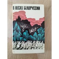 В лесах Белоруссии