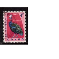 Конго-1963,(Мих.115)  гаш. , Фауна, Птицы(1)