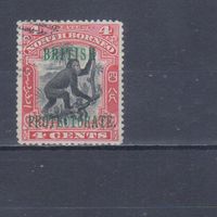 [154] Британские колонии. Северное Борнео 1901-02. Фауна.Орангутан. НАДПЕЧАТКА. Гашеная марка.