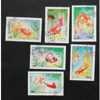 Вьетнам 1990 г. Золотые рыбки. Фауна, полная серия из 6 марок #0261-Ф1P59