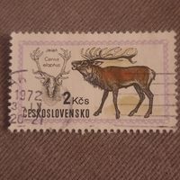 Чехословакия 1971. Олень. Cervus Elaphus