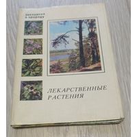 Набор открыток, Лекарственные растения; 1977 (24 из 25 шт., 10*15 см).