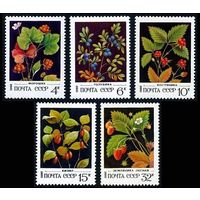 Марки СССР 1982 год. Дикорастущие ягоды. Полная серия из 5 марок. 5273-5277.
