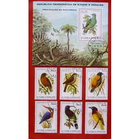 Сан Томе и Принсипи. Птицы. ( Блок и 6 марок ) 1979 года.